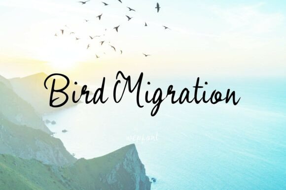Bird Migration Font: A Simple Upgrade for Better Branding
