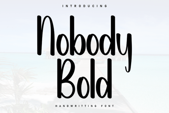 Enhance Your Brand with Nobody Bold