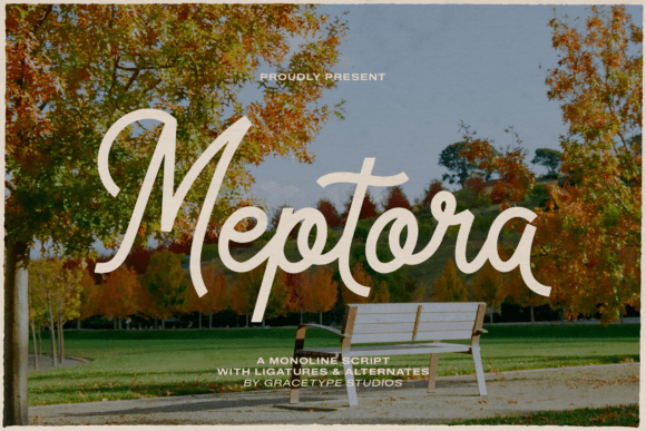 Meptora: A Script Font That Fits Every Campaign