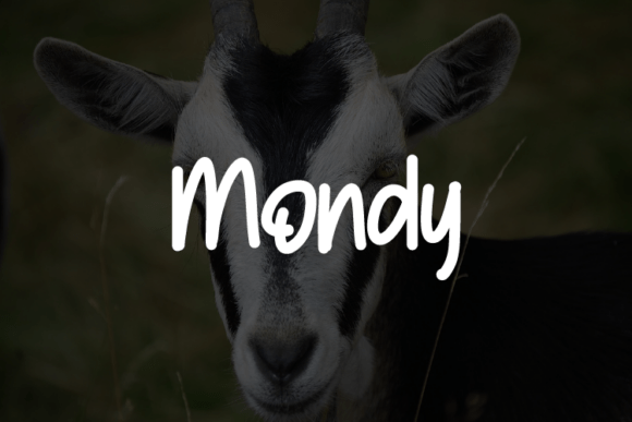 Mondy: A Versatile Typeface for Modern Web Design